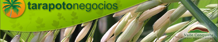 www.tarapotonegocios.com